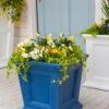 Fairfield Self-Watering Square Planter, 16” X 16” -Backyard Bloomers 8611695 045 tif