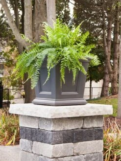 Fairfield Self-Watering Square Planter, 16” X 16” -Backyard Bloomers 8611695 06V tif