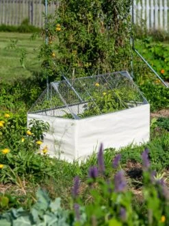 Crop Coop Covers Set 9 Crop Coop Covers Set -Backyard Bloomers 8611698 005 tif