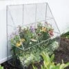Chicken Wire Flat Back Crop Coop -Backyard Bloomers 8611701 142 tif