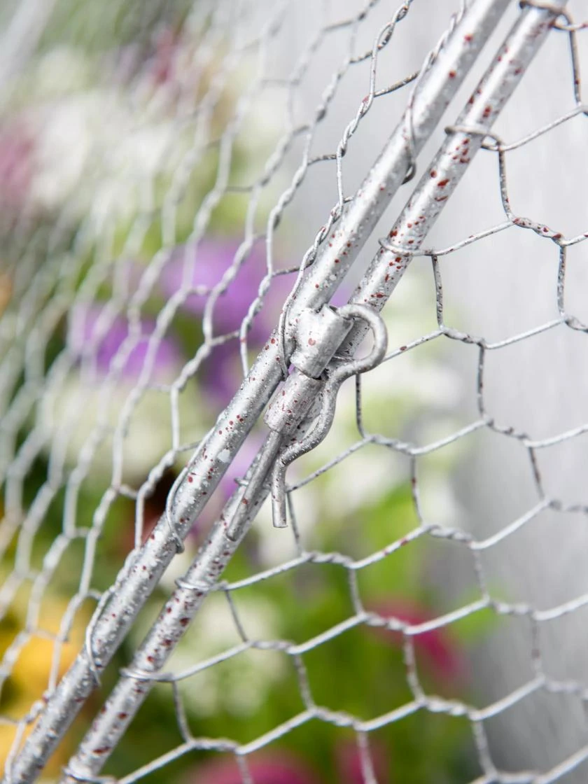 Chicken Wire Flat Back Crop Coop 6 Chicken Wire Flat Back Crop Coop - Image 4