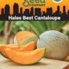 Hales Best Cantaloupe Organic Seeds 2 Hales Best Cantaloupe Organic Seeds -Backyard Bloomers 8611872 02v hales best cantaloupe organic seeds