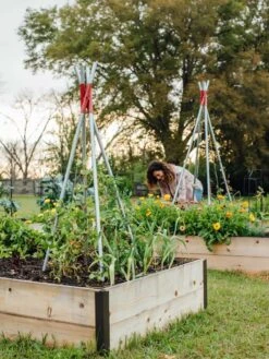 DIY Connector For Teepee Trellis 21 DIY Connector For Teepee Trellis -Backyard Bloomers 8611896 38 tif