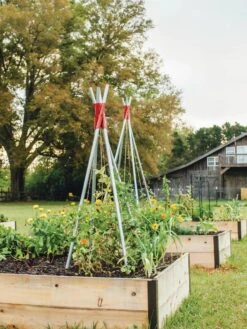 DIY Connector For Teepee Trellis 20 DIY Connector For Teepee Trellis -Backyard Bloomers 8611896 71 tif