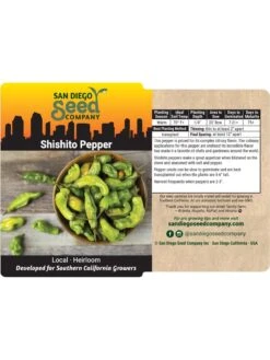 Shishito Pepper Organic Seeds -Backyard Bloomers 8611910 02v