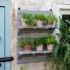 VegTrug® Herb Rack 1 VegTrug® Herb Rack -Backyard Bloomers 8611930 6402 tif