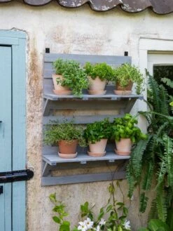 VegTrug® Herb Rack