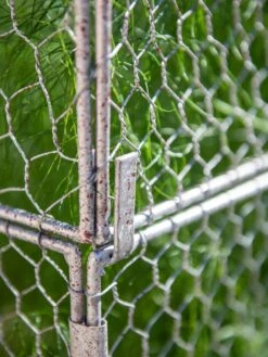 Chicken Wire Crop Coop Extension -Backyard Bloomers 8611940 232 tif