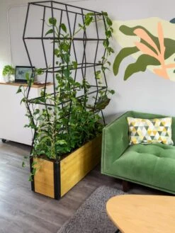 Self-Watering Partition Planter 10 Self-Watering Partition Planter -Backyard Bloomers 8611952 001 tif