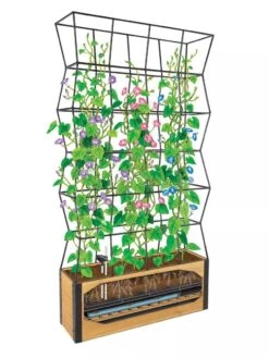 Self-Watering Partition Planter 8 Self-Watering Partition Planter -Backyard Bloomers 8611952 art 3 4