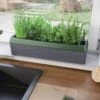 Provence Self-Watering Herb Planter 1 Provence Self-Watering Herb Planter -Backyard Bloomers 8611965 01V tif