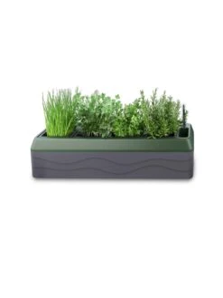 Provence Self-Watering Herb Planter -Backyard Bloomers 8611965 03V tif