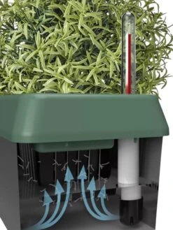 Provence Self-Watering Herb Planter -Backyard Bloomers 8611965 05V tif