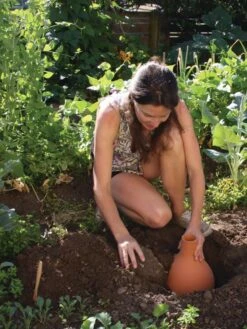 Hydro Max Watering System 11 Hydro Max Watering System -Backyard Bloomers 8611967 15V tif