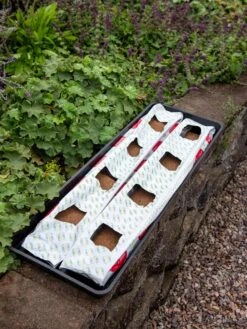 Berry Blend Coir Grow Bag, Set Of 2 -Backyard Bloomers 8611968 361 tif