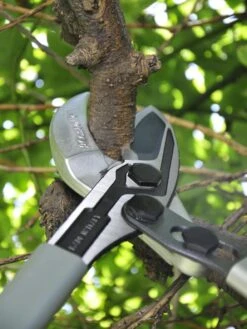 Castellari Long-Handled Anvil Lopper -Backyard Bloomers 8611970 01V tif