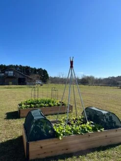 Insect And Pest Net Row Protector 11 Insect And Pest Net Row Protector -Backyard Bloomers 8611985 04 tif