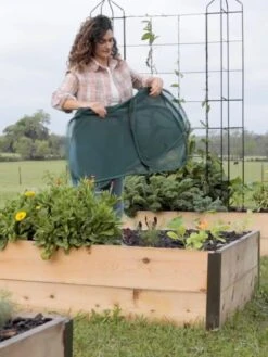 Insect And Pest Net Row Protector 12 Insect And Pest Net Row Protector -Backyard Bloomers 8611985 8389 tif