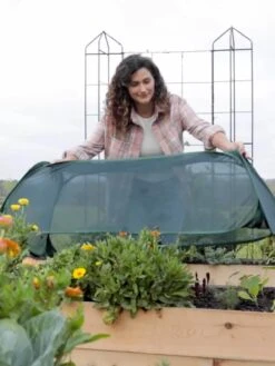 Insect And Pest Net Row Protector 13 Insect And Pest Net Row Protector -Backyard Bloomers 8611985 8390 tif