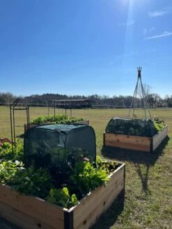 Pest Control Pop-Ups -Backyard Bloomers 8611989 05 tif