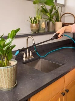 Indoor Outdoor Plant Sprayers -Backyard Bloomers 8611993 017 tif