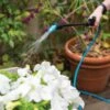 Indoor Outdoor Plant Sprayers -Backyard Bloomers 8611993 029 tif