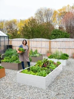 Somerset Metal Raised Beds, As Is -Backyard Bloomers 8612020 0016 tif