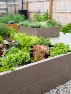 Somerset Metal Raised Beds, As Is -Backyard Bloomers 8612020 002 tif