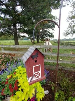 Summitville Stable Bird House -Backyard Bloomers 8612121 05v