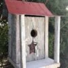 Beaverton Shack Bird House -Backyard Bloomers 8612122 01v beaverton shack bird house