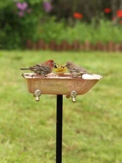Copper Bathtub Birdbath -Backyard Bloomers 8612202 01v copper bathtub birdbath