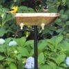 Copper Bathtub Birdbath 2 Copper Bathtub Birdbath -Backyard Bloomers 8612202 02v