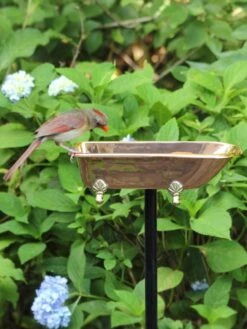Copper Bathtub Birdbath -Backyard Bloomers 8612202 03v