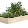 Pine Raised Garden Beds, 4'x8' 2 Pine Raised Garden Beds, 4'x8' -Backyard Bloomers 8612238 02V jpg