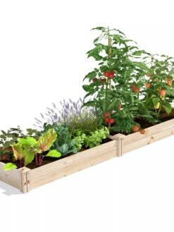 Pine Raised Garden Bed, 2' X 8' -Backyard Bloomers 8612243 02V jpg