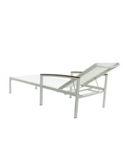 Braylee Reclining Chaise Lounge -Backyard Bloomers 8612262 06v