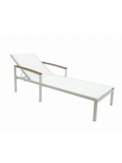 Braylee Reclining Chaise Lounge -Backyard Bloomers 8612262 08v