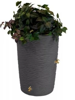 Impressions Palm 50 Gallon Rain Saver -Backyard Bloomers 8612305 01V jpg