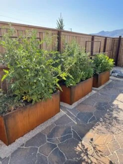 Nice Corten Trough Planters With Trellis