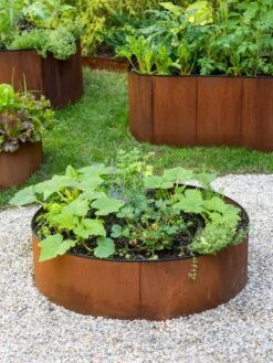 Birdies™ Corten Steel Round Raised Beds 12 Birdies™ Corten Steel Round Raised Beds -Backyard Bloomers 8612422 1527 tif