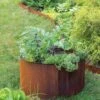 Birdies⢠Corten Steel Round Raised Beds 2 Birdies⢠Corten Steel Round Raised Beds -Backyard Bloomers 8612423 1537 tif