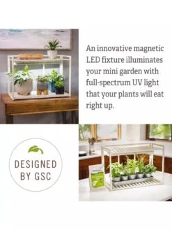 Tabletop Grow Kit -Backyard Bloomers 8612507 4