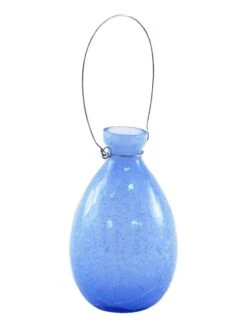 Achla Designs Teardrop Rooting Vase -Backyard Bloomers 8612530bll 03v