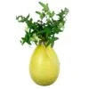 Achla Designs Teardrop Rooting Vase -Backyard Bloomers 8612530ye 01v
