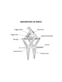 Easy Mole Trap -Backyard Bloomers 8612557 01v