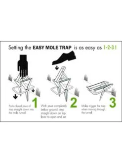 Easy Mole Trap -Backyard Bloomers 8612557 04v 1