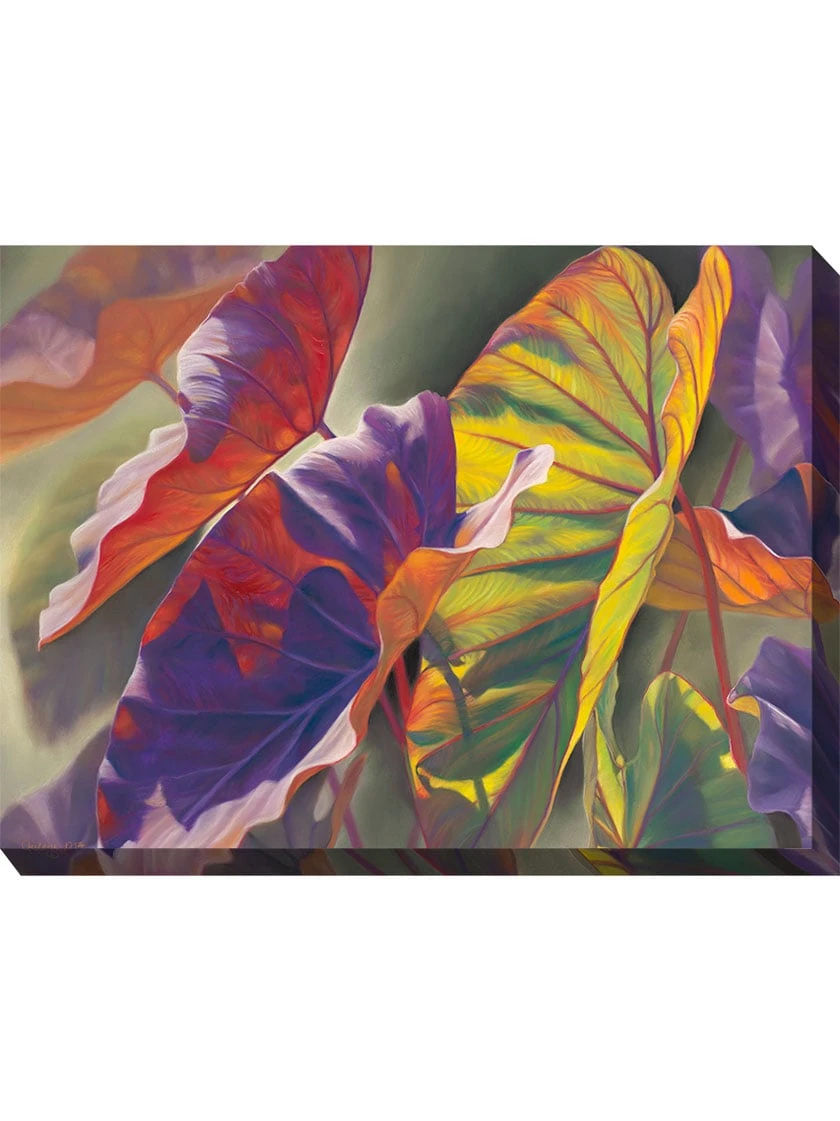 Elephant Ears Outdoor Wall Art 3 Elephant Ears Outdoor Wall Art