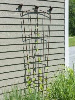 Flock Of Friends Wall Trellis 11 Flock Of Friends Wall Trellis -Backyard Bloomers 8612636 0007