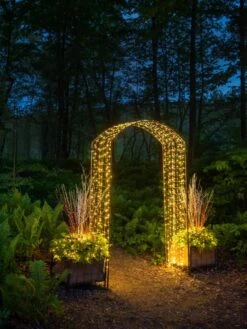 Jardin Rose Arch -Backyard Bloomers 8612638 0102 tif