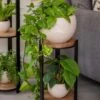Double Tower Plant Stand 1 Double Tower Plant Stand -Backyard Bloomers 8612683 2228 double tower plant stand
